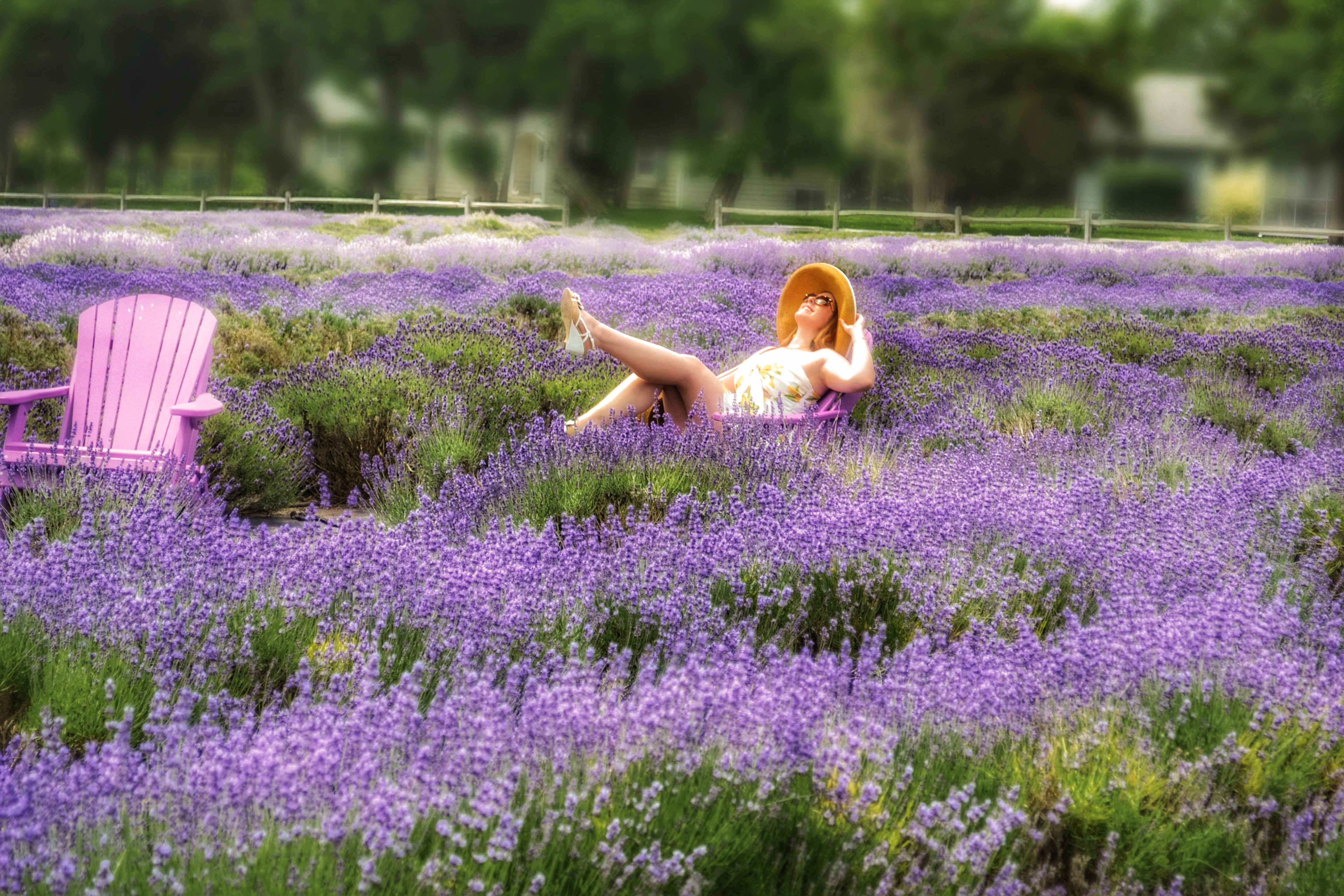 Long Island Lavender Fields Escape in Her Travels